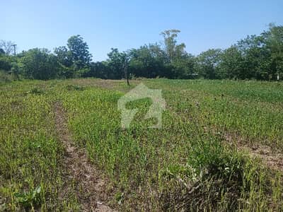 3 Acre - 25 Kanal Farm House Plot for Sale in Tarlai Scheme 1 for sale (CDA Transfer) 3 Acre - 25 Kanal Farm House Plot for Sale in Tarlai Scheme 1 for sale (CDA Transfer)