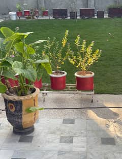 1 Kanal Ground Portion For Rent In Police Foundation