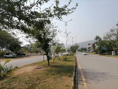 Residential Plot Of 1 Kanal For sale In D-13