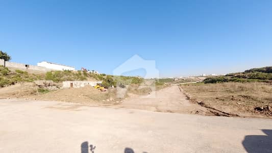 Get An Attractive Residential Plot In Shah Allah Ditta Under Rs. 6900000