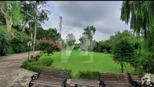 Prime Investment Opportunity Sun-Facing Plot In F-8, Wide Street, 1777.77 Square Yard, Multiple Options Available