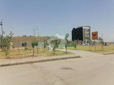 Boulevard Category Plot with Back Side Open View