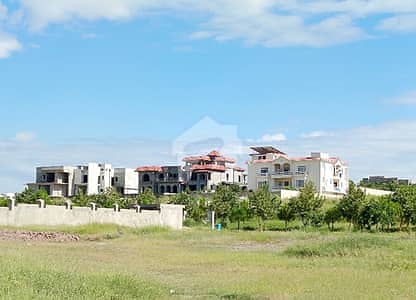 10 Kanal Farm House Plot For Sale 10 Kanal Farm House Plot For Sale