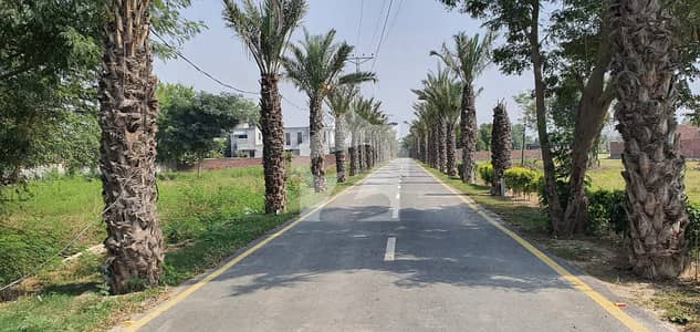 2 Kanal Farmhouse Plot for Sale Sofia Farm Society, Bedian Road