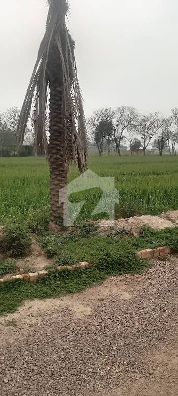 Farm House Plot 8 Kanal Possession For Sale