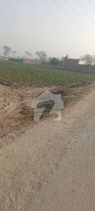 Kasur To Depalpur Road 19 Kanal Land For Sale Kasur To Depalpur Road 19 Kanal Land For Sale