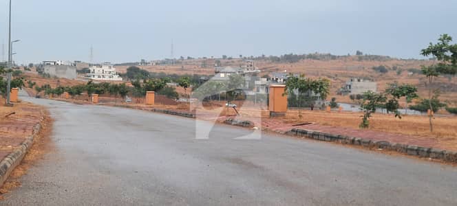 IDEAL LOCATION REASONABLE PRICE PLOT FOR SALE IDEAL LOCATION REASONABLE PRICE PLOT FOR SALE