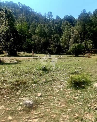 50 Kanal Commercial Plot For Sale In Pir Sohawa Islamabad Road