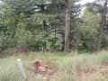 10 10
