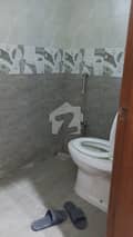 7 7