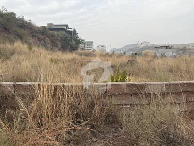10marla plot for sale in Banigala very beautiful location carpeted street plot size 32*71 10marla plot for sale in Banigala very beautiful location carpeted street plot size 32*71