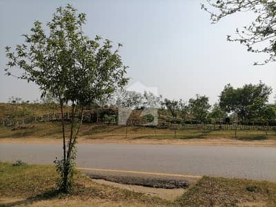 Gorgeous 1 Kanal Residential Plot For sale Available In D-13