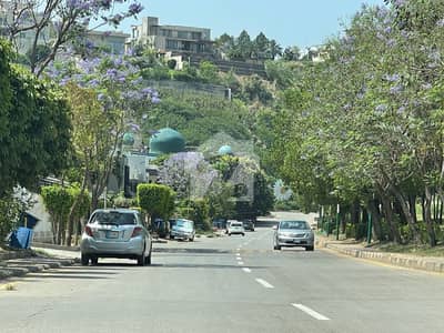 Reserve A Residential Plot Of 4875 Square Feet Now In Bahria Spring North
