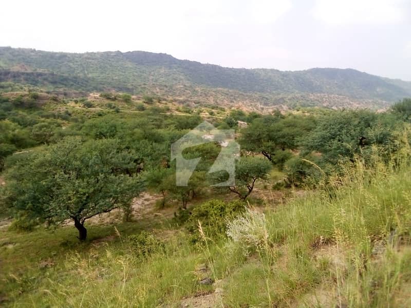 موضع کلمات گوادر میں 40 کنال رہائشی پلاٹ 3.0 لاکھ میں برائے فروخت۔ موضع کلمات گوادر میں 40 کنال رہائشی پلاٹ 3.0 لاکھ میں برائے فروخت۔