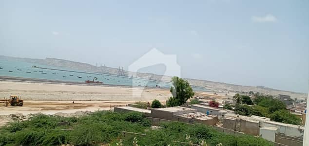 موضع شمالی بندھن گوادر میں 8 کنال رہائشی پلاٹ 60.0 ہزار میں برائے فروخت۔