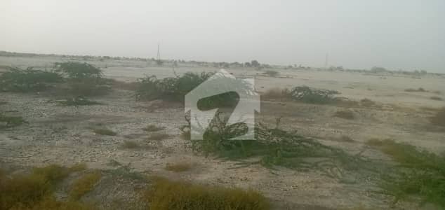 Agricultural Land Of 10 Acre Available In Makran Coastal Highway Moza Chokin Gwadar