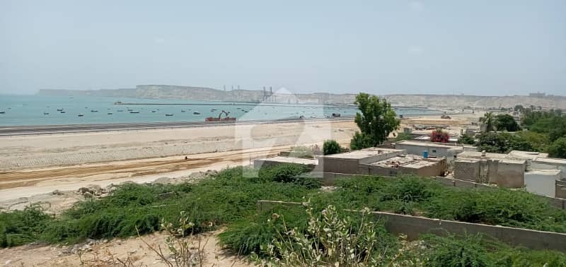 1 Acre Agriculture Mouza Shatangi Gwadar 1 Acre Agriculture Mouza Shatangi Gwadar