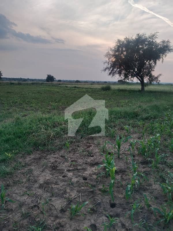 45000 Square Feet Agricultural Land In Chakbeli Road Best Option 45000 Square Feet Agricultural Land In Chakbeli Road Best Option