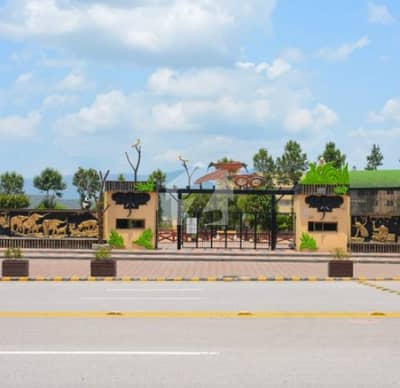 Want To Buy A Residential Plot In Islamabad?