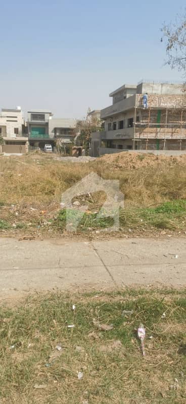 316 Square Yard Plot For Sale