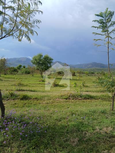 D-12/4 Main Double Road Plot For Sale