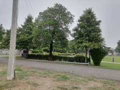واپڈا سٹی ۔ بلاک ایچ واپڈا سٹی,فیصل آباد میں 1 کنال رہائشی پلاٹ 4.25 کروڑ میں برائے فروخت۔