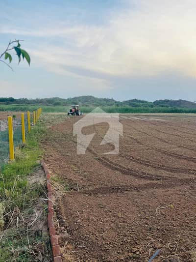 5 Kanal Farmhouse Plot On Installments 5 Kanal Farmhouse Plot On Installments