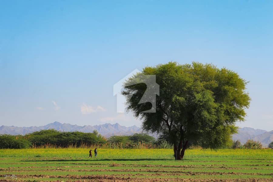 Agricultural Land For Sale Mouza Jorkan Agricultural Land For Sale Mouza Jorkan