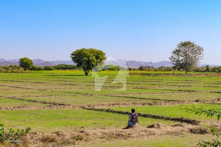 Agricultural Land For Sale Mouza Kiakalat