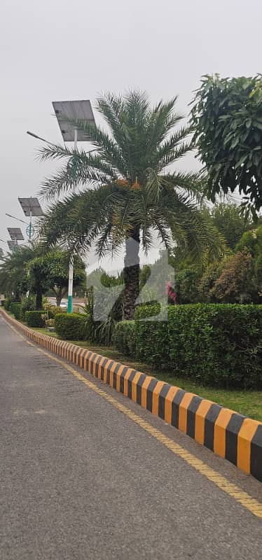 Plot Is Available For Sale In Gulberg Greens Block D