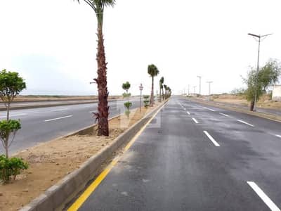 Strategic Commercial Land In Gwadar Singhar Phase-3 Best For Investors Strategic Commercial Land In Gwadar Singhar Phase-3 Best For Investors