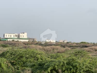 Sports Facility Land in Gwadar | Recreational Zone