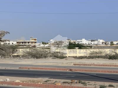 موضع نگورشریف گوادر میں 8 کنال رہائشی پلاٹ 30.0 لاکھ میں برائے فروخت۔