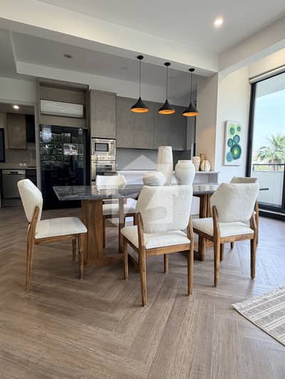 Brand New Designer Furnished Apartment