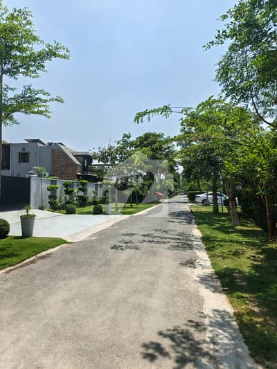 18 Marla Residential Plot For Sale In HBFC