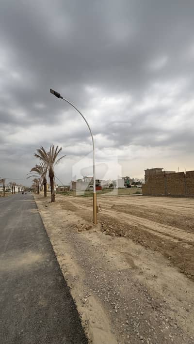 A Residential Plot Of 5 Marla In New City - Block M