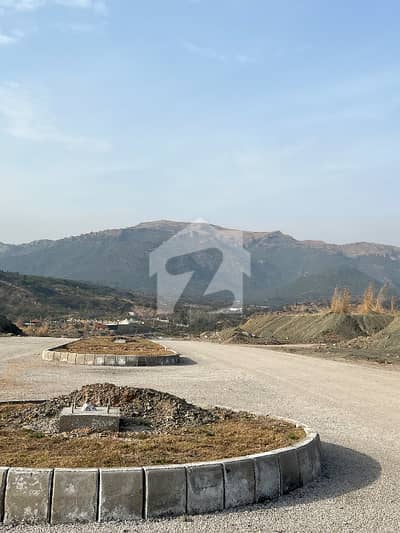 C-14 Top Location Plot For Sale