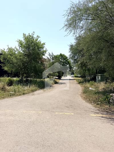 40x80 PLOT FOR SALE NEAR MARKAZ