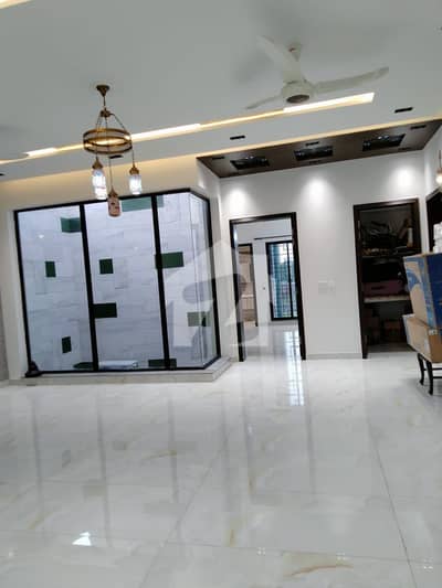 1 Kanal Lower Portion Like Brand New  For Rent