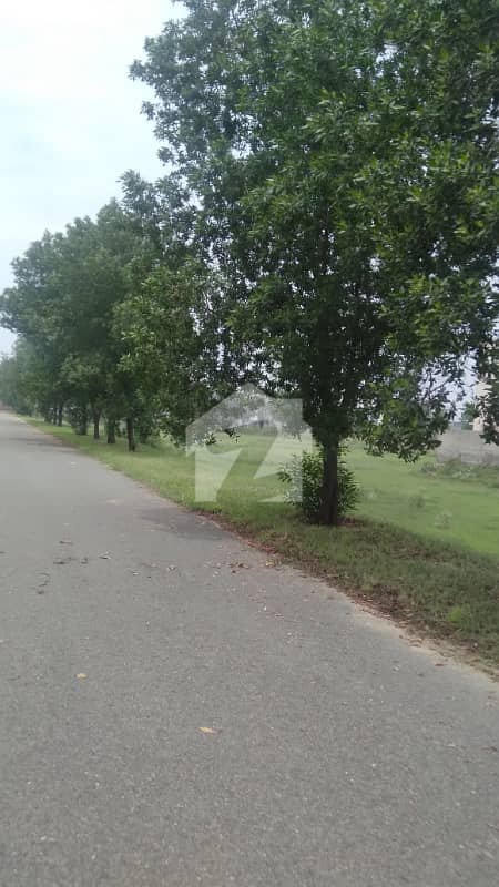 4 4