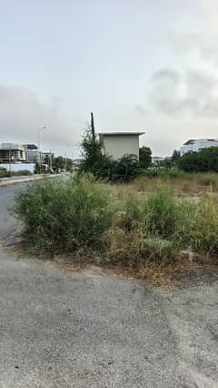 Phase 8 Zone A 1000 Yds Plot For Sale