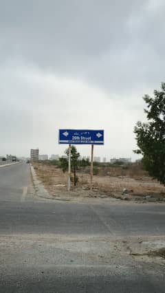Phase 8 Zone A1000 Yds Plot For Sale