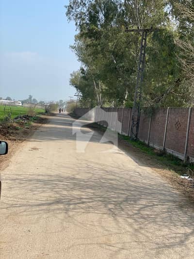 بیدیاں روڈ لاہور میں 16 کنال زرعی زمین 5.55 کروڑ میں برائے فروخت۔