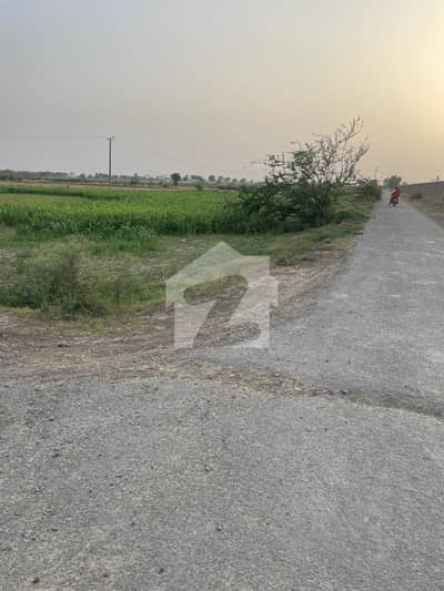 بیدیاں روڈ لاہور میں 16 کنال زرعی زمین 4.55 کروڑ میں برائے فروخت۔