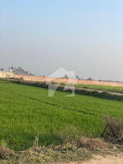 بیدیاں روڈ لاہور میں 24 کنال زرعی زمین 6.3 کروڑ میں برائے فروخت۔