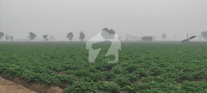 125 Acre Land Nagar Amanpura Annual Rent Per Acre 250000
