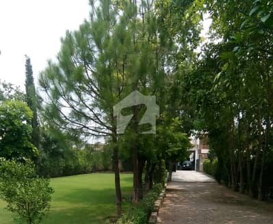Prime Location 1888 SQ YD Old House