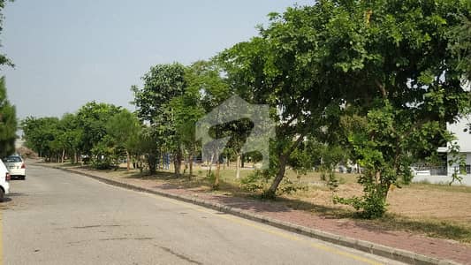 بحریہ ٹاؤن فیز 8 ۔ ایڈن لیک ویو بلاک بحریہ ٹاؤن فیز 8,بحریہ ٹاؤن راولپنڈی,راولپنڈی میں 10 مرلہ رہائشی پلاٹ 1.65 کروڑ میں برائے فروخت۔ بحریہ ٹاؤن فیز 8 ۔ ایڈن لیک ویو بلاک بحریہ ٹاؤن فیز 8,بحریہ ٹاؤن راولپنڈی,راولپنڈی میں 10 مرلہ رہائشی پلاٹ 1.65 کروڑ میں برائے فروخت۔