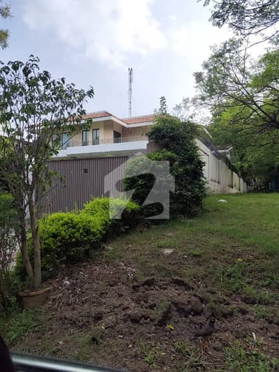 F 6/3 House Available 1000 Square Yards Beautiful Location For Sale
