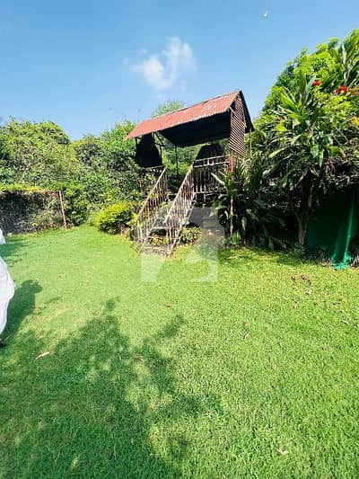F 10 House Available 80*120 In Close And Street.